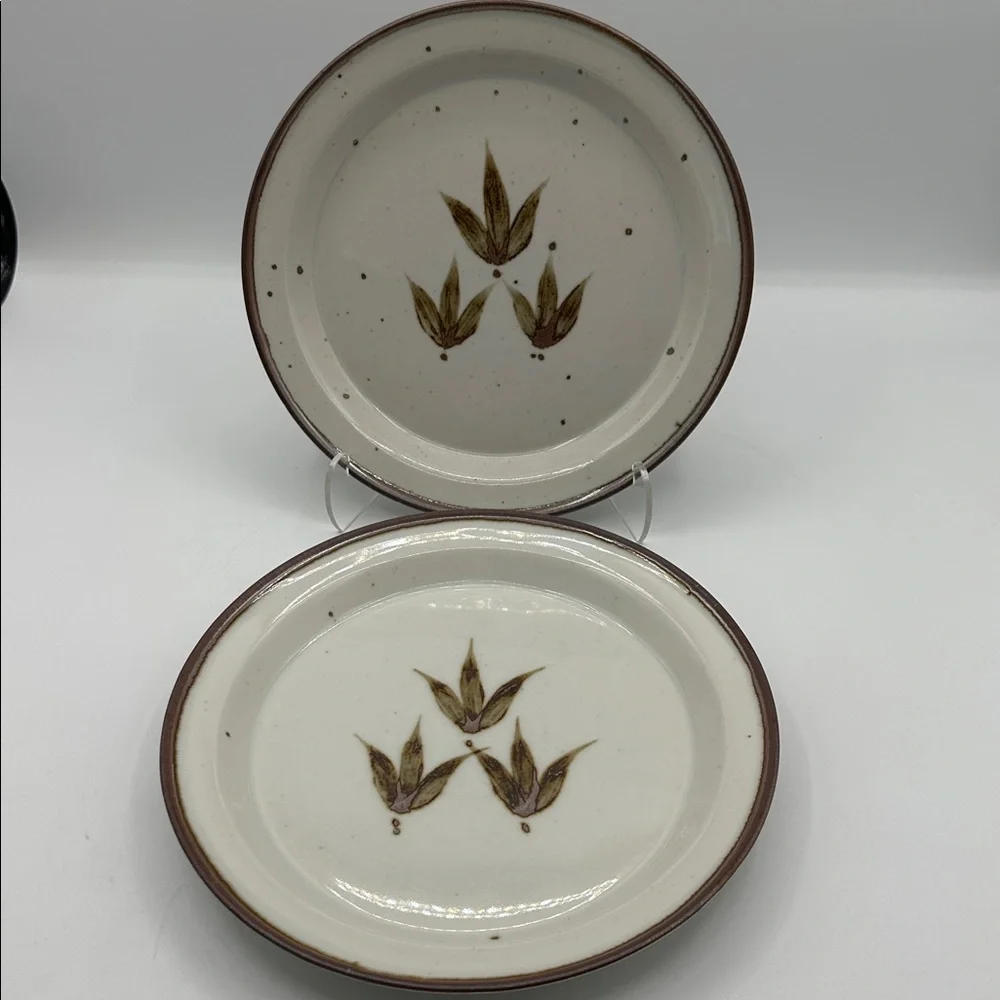LAST ONES! 2 Dansk Salad Plates Brown Mist Whisper pattern. Vintage 80s - Picture 6 of 8